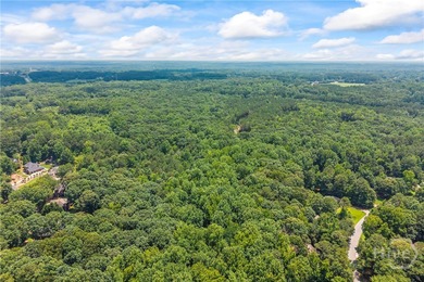 Discover the perfect setting for your dream home on this - photo 4