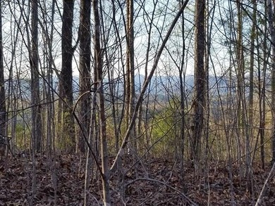 Lake Hiwassee Lot For Sale in Murphy North Carolina