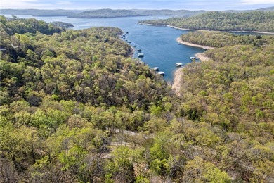 Bring your vision to life on Beaver Lake with the opportunity to - photo 9