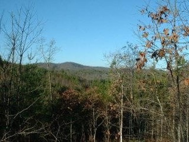 Lake Hiwassee Lot For Sale in Murphy North Carolina