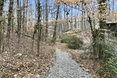 4 BR 4 Bath with dock in Deep water - Forsyth County Lake - photo 25