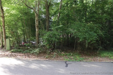 Lake Lot For Sale in Sanford, North Carolina