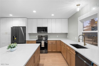 An opportunity to own a masterfully renovated century home, in - photo 20