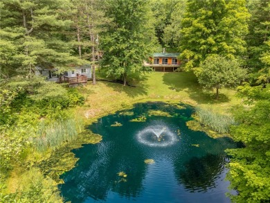 (private lake, pond, creek) Home Sale Pending in Wheeler New York
