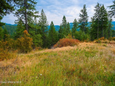 Lake Lot For Sale in Harrison, Idaho