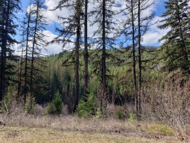 (private lake, pond, creek) Acreage For Sale in Huson Montana