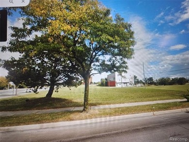 PRIME DETROIT DEVELOPMENT OPPORTUNITY - 4.54 ACRES Six Parcels - - photo 1