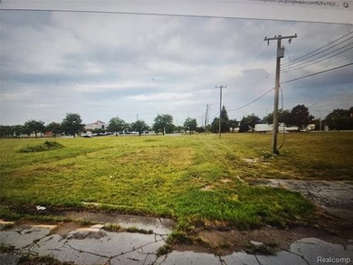 PRIME DETROIT DEVELOPMENT OPPORTUNITY - 4.54 ACRES Six Parcels - - photo 2