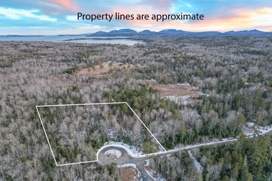 Skillings River Lot For Sale in Lamoine Maine