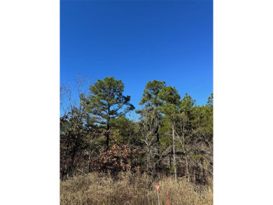 Broken Bow Lake Lot For Sale in Broken Bow Oklahoma