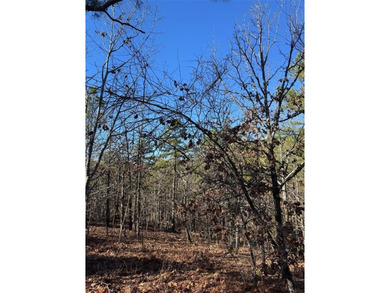 For Sale: A 1-acre lot in the desirable Western Hills - photo 2