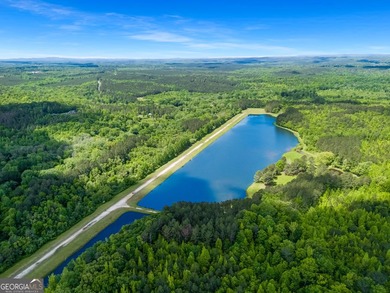 Tucked into the rolling countryside of West Georgia, just 45 - photo 13