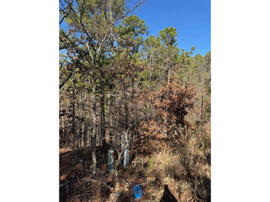 For Sale: A 1-acre lot in the desirable Western Hills - photo 3