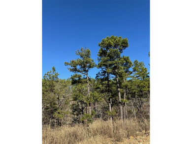 For Sale: A 1-acre lot in the desirable Western Hills - photo 4