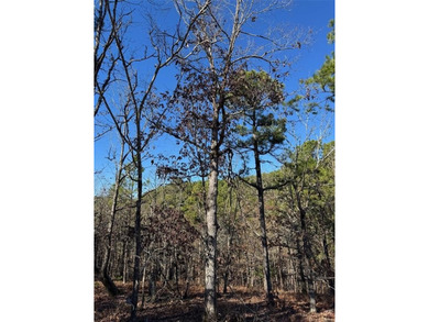 For Sale: A 1-acre lot in the desirable Western Hills - photo 5