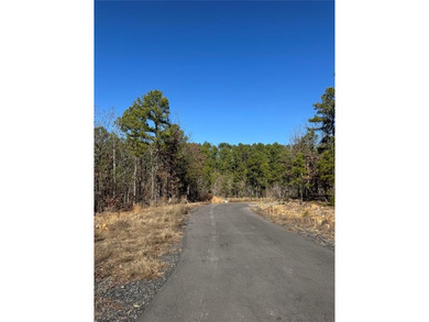 For Sale: A 1-acre lot in the desirable Western Hills - photo 6