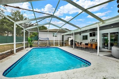 Fully renovated, move-in ready -- your Florida Dream Home - photo 18