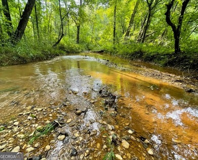 Tucked into the rolling countryside of West Georgia, just 45 - photo 20