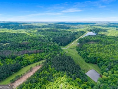 Tucked into the rolling countryside of West Georgia, just 45 - photo 22