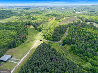 Tucked into the rolling countryside of West Georgia, just 45 - photo 29