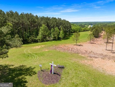 Tucked into the rolling countryside of West Georgia, just 45 - photo 37