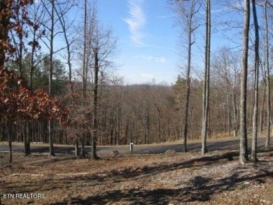 Cherokee Lake Acreage For Sale in Bean Station Tennessee
