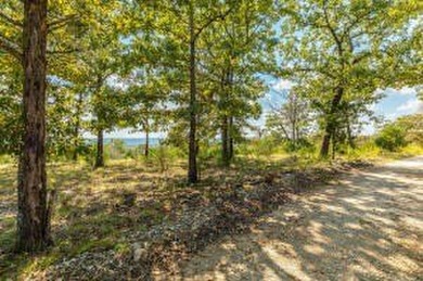 Lake View! Short drive to 125 Marina. Great building site. South - photo 2