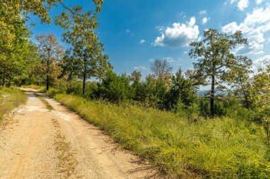 Lake View! Short drive to 125 Marina. Great building site. South - photo 3