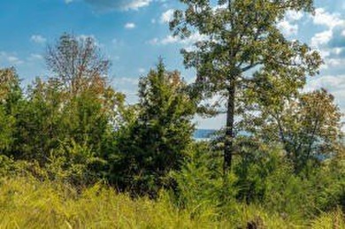 Lake View! Short drive to 125 Marina. Great building site. South - photo 4