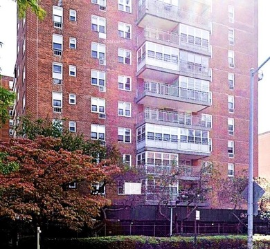 Sunny 1 Bedroom Coop located in the heart of Flushing! Full size - photo 1
