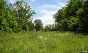 Pleasant Lake - Oakland County Lot For Sale in West Bloomfield Michigan