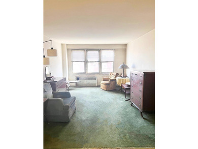 Sunny 1 Bedroom Coop located in the heart of Flushing! Full size - photo 3
