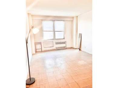 Sunny 1 Bedroom Coop located in the heart of Flushing! Full size - photo 4