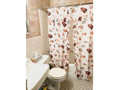 Sunny 1 Bedroom Coop located in the heart of Flushing! Full size - photo 6