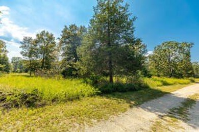 Lake View! short drive to 125 Marina. Great Building Site! - photo 2