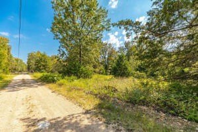 Lake View! short drive to 125 Marina. Great Building Site! - photo 3