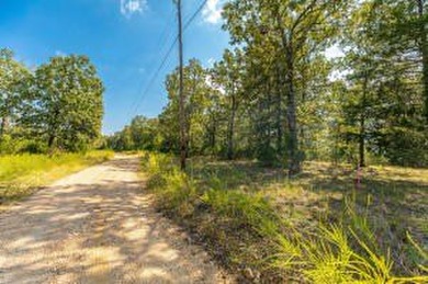 Lake View! short drive to 125 Marina. Great Building Site! - photo 4