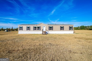 (private lake, pond, coastal) Home For Sale in Saint George Georgia