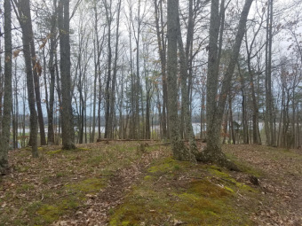 1+ Acre Building Lot with Cherokee Lake Views - Lake Lot For Sale in Mooresburg, Tennessee