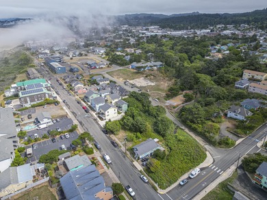 Don't miss out on this rare opportunity to own a vacant land - photo 11