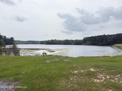 84.94+/- acres in Lincoln County, MS located just out of Wesson - photo 1