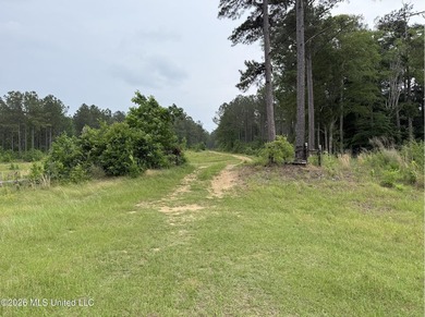 84.94+/- acres in Lincoln County, MS located just out of Wesson - photo 2