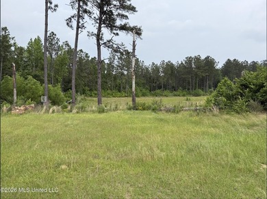 84.94+/- acres in Lincoln County, MS located just out of Wesson - photo 3