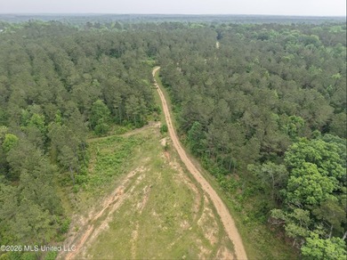84.94+/- acres in Lincoln County, MS located just out of Wesson - photo 4