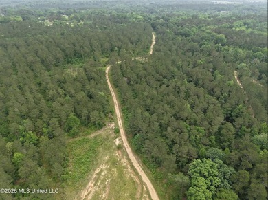 84.94+/- acres in Lincoln County, MS located just out of Wesson - photo 5