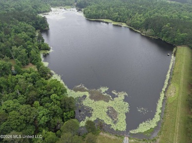 84.94+/- acres in Lincoln County, MS located just out of Wesson - photo 6