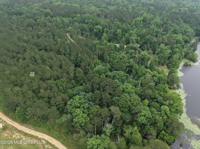84.94+/- acres in Lincoln County, MS located just out of Wesson - photo 7