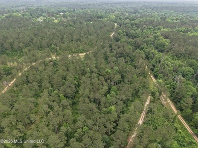 84.94+/- acres in Lincoln County, MS located just out of Wesson - photo 8