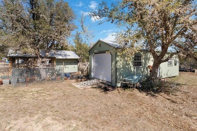 Multi-generation with 2 homes. No deed restrictions and Ag - photo 39