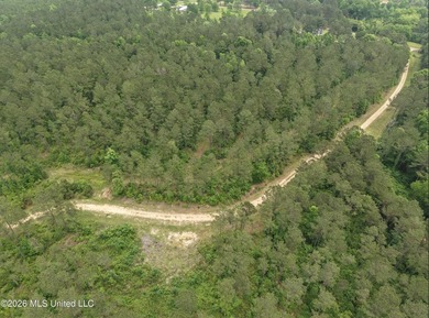 84.94+/- acres in Lincoln County, MS located just out of Wesson - photo 9